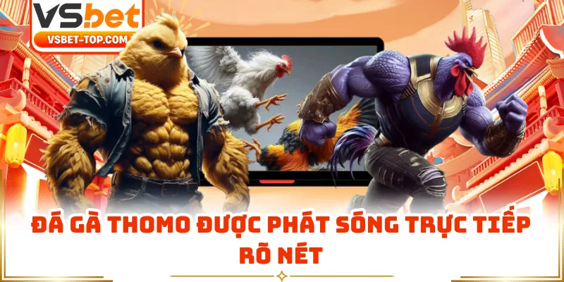Đá Gà Thomo Được Phát Sóng Trực Tiếp Rõ Nét