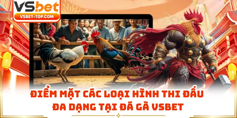 Điểm Mặt Các Loại Hình Thi Đấu Đa Dạng Tại Đá Gà VSBET