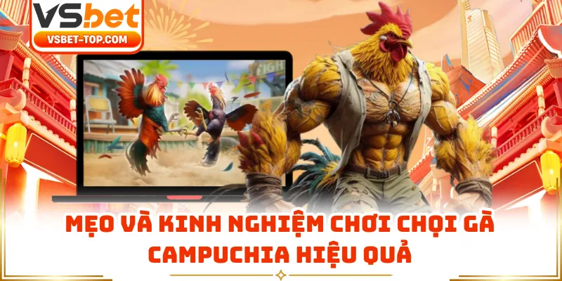 Mẹo Và Kinh Nghiệm Chơi Chọi Gà Campuchia Hiệu Quả